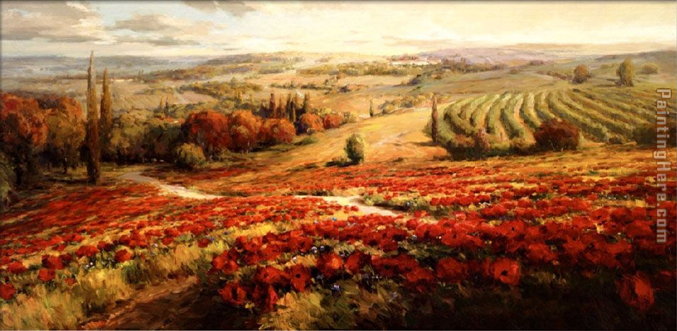 Roberto Lombardi Red Poppy Panorama